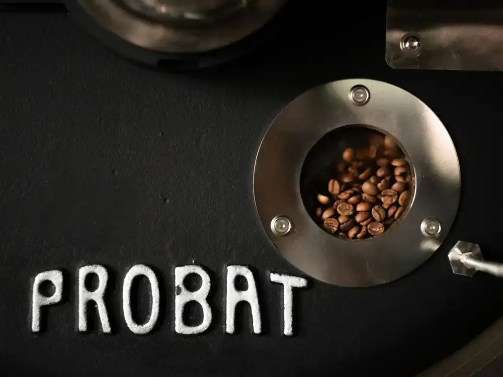 Roaster inspecting coffee beans